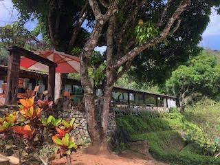 Terreno, 1000 m² - Foto 3